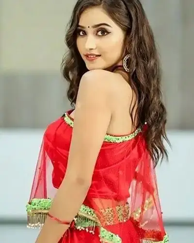 Call Girls Service Surgana